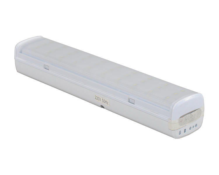308 Emergency Light with Foldable Handle and Wall Mounting