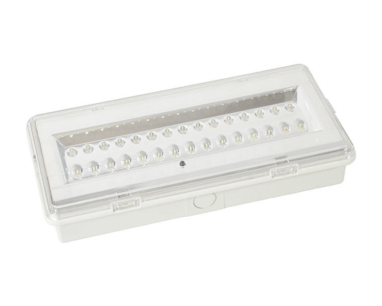 LE503L Non-Maintained LED Waterproof Emergency Lamp