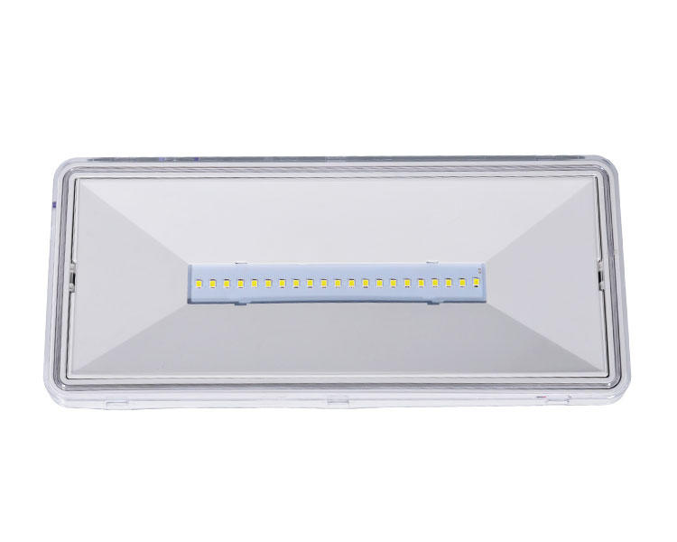 LE515-21 Clear Polycarbonate Diffuser 21LED Waterproof Luminaires